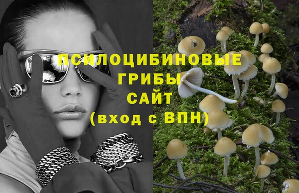 твердый Белокуриха