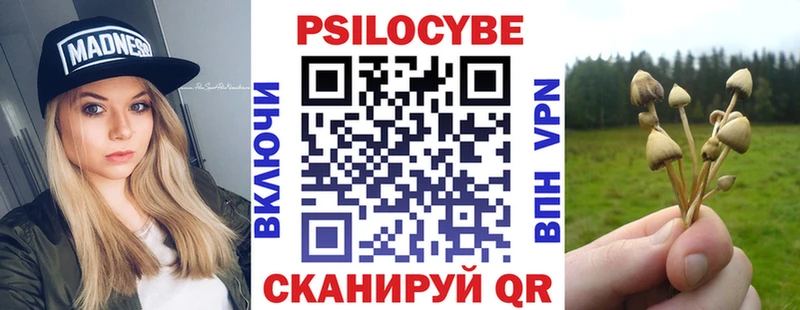 Галлюциногенные грибы Psilocybine cubensis  нарко площадка какой сайт  Нерюнгри  даркнет сайт 